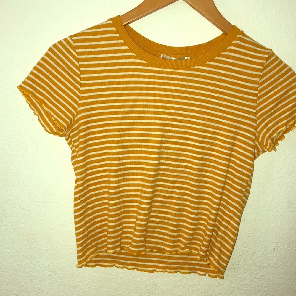 Lettuce edge Yellow Striped Crop